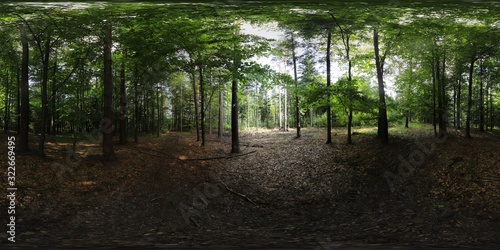 Fototapeta Naklejka Na Ścianę i Meble -  Forest in the Summer HDRI Panorama