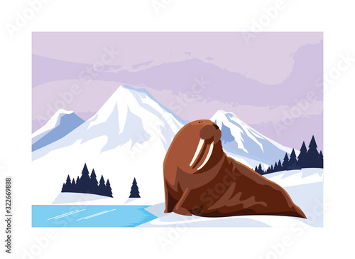 walrus at the north pole, arctic landscape