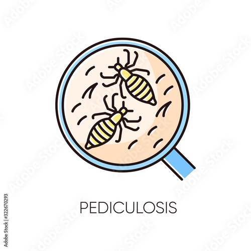 Pediculosis RGB color icon. Contagious medical problem, epidemic disease, head lice. Healthcare and medicine. Tiny insects, parasites under magnifying glass isolated vector illustration