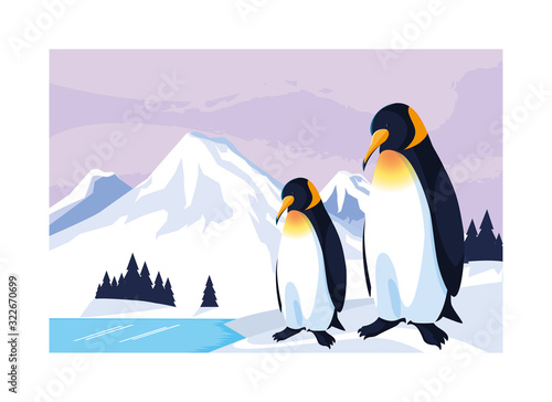 penguins at the north pole  arctic landscape