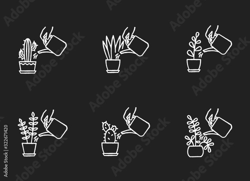 Houseplant care chalk white icons set on black background. Indoor gardening. Watering domestic plants. Moisturizing, rehydrating soil. Moistening ground. Isolated vector chalkboard illustrations