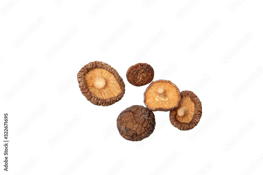 Dried Mushroom isolate on white background Dried Mushroom isolate on white background