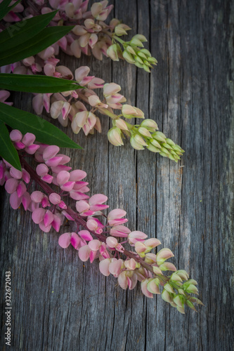 three pink lupins on the rustic wooden table