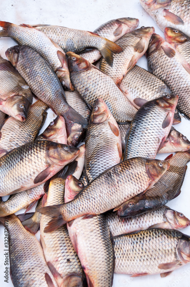 Selling fresh fish at food market in China, street food in summer Selling fresh fish at food market in China, street food in summer