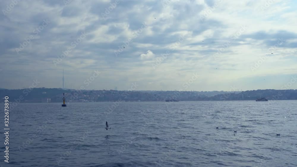 Over the winter the sea gulls fly Over the winter the sea gulls fly