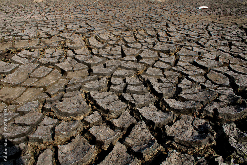 The cracked dry land without water. Barren land. The cracked dry land without water. Barren land.