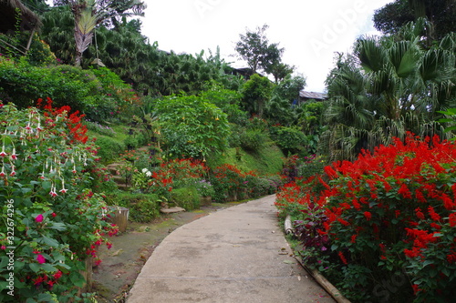 タイ チェンマイ モン族の村の庭園