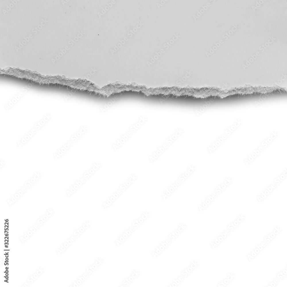 ripped paper isolated on white background with copy space for text