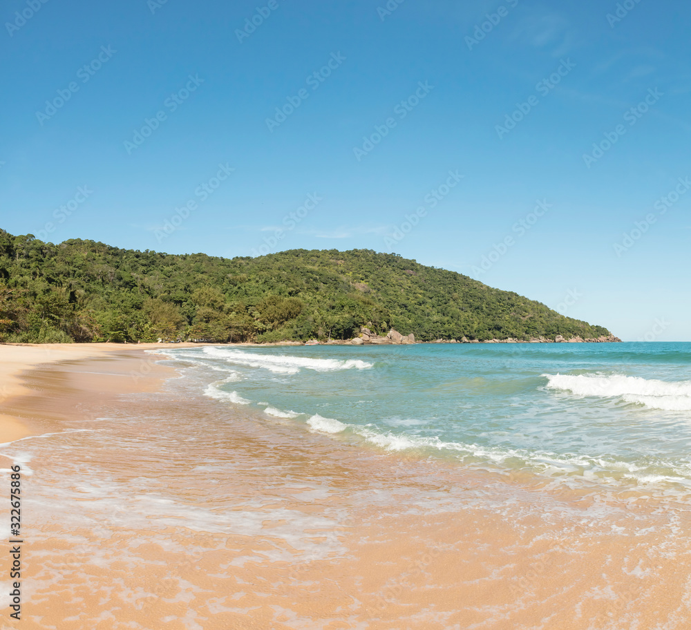 Obraz premium Beautiful Parnaioca beach with crystal blue water and clear sand, deserted tropical beach on the sunny coast of Rio de Janeiro, Ilha Grande in the city of Agnra dos Reis, Brazil
