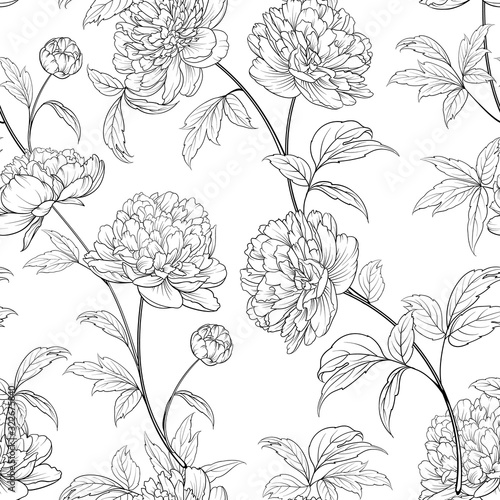 Seamless wallpaper of of Peonies flowers elements. Digital flat illustration of blossom peony seamless pattern from elements on a white background. Bouquet of Peony. Decoration isolated against white.