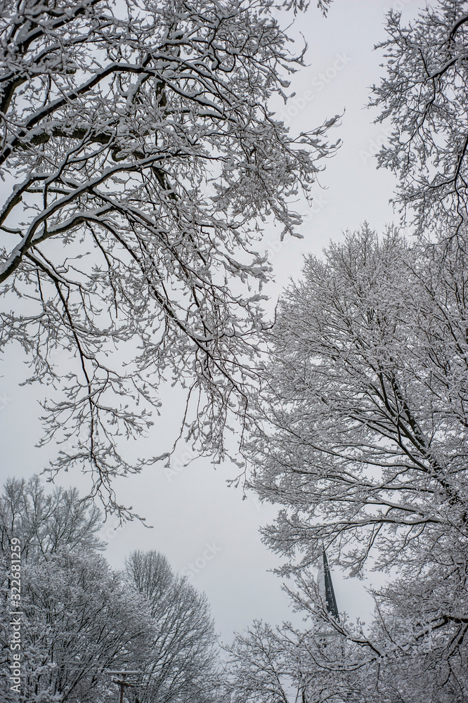 Freshly fallen snow landscape Freshly fallen snow landscape