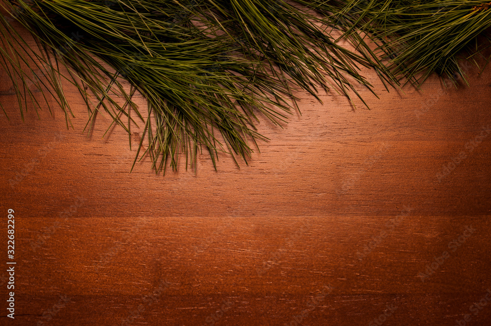 Fotografie Christmas greenery on wood background