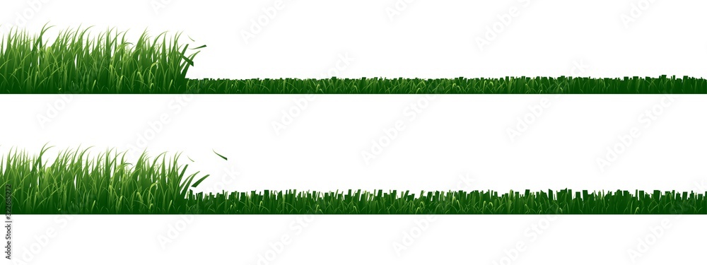 Fototapeta Set of mowed grass isolated on white background.