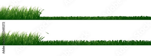 Set of mowed grass isolated on white background.	