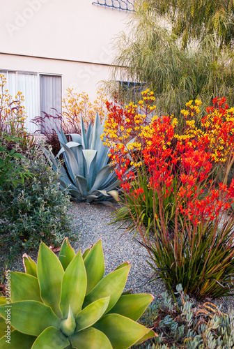 California Apartment Garden Palette