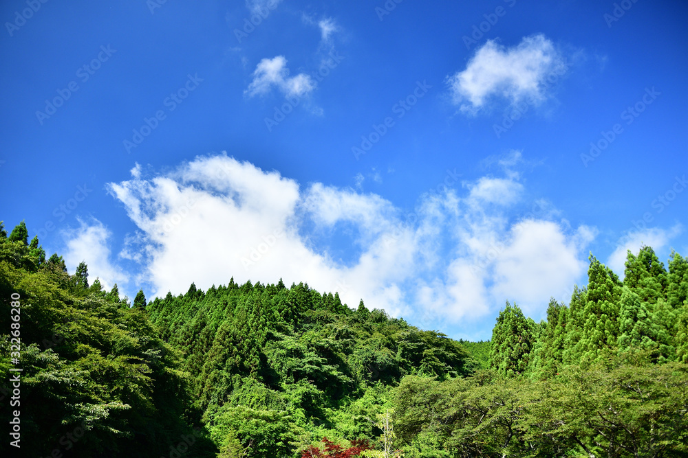 快晴の箱根路