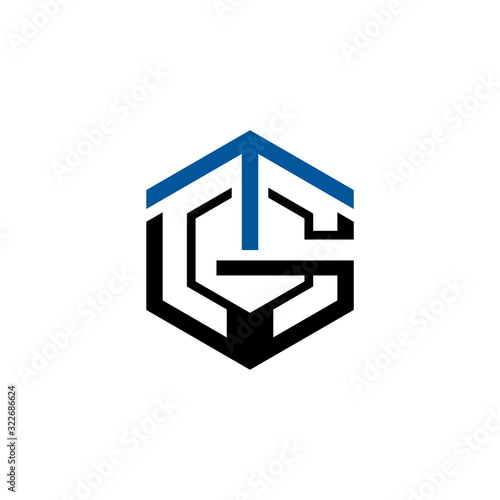 Letter TG Hexagon Logo Geometric Shape