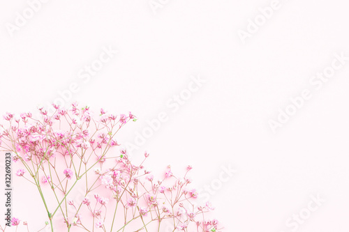 Minimal flower composition.. colorful gypsophila floral background.  Flat lay  top view  copy space  mockup