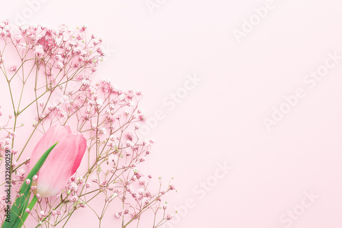 Minimal flower composition.. gypsophila and pink tulip floral pastel background.  Flat lay, top view, copy space, mockup