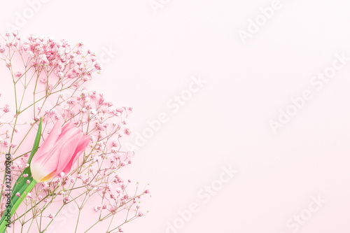 Minimal flower composition.. gypsophila and pink tulip floral background.  Flat lay, top view, copy space, mockup