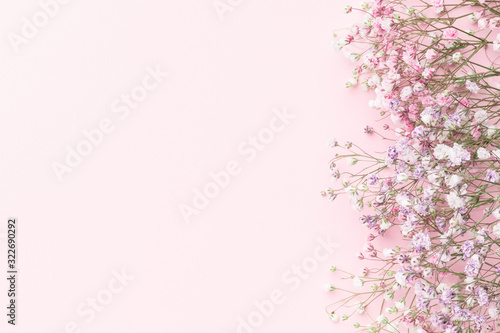 Minimal flower composition.. colorful gypsophila floral background.  Flat lay, top view, copy space, mockup