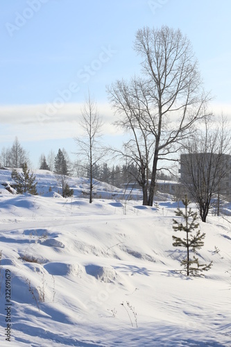 winter landscape with trees and snow © Александр Кузнецов