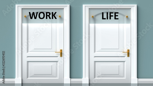 Work and life as a choice - pictured as words Work, life on doors to show that Work and life are opposite options while making decision, 3d illustration