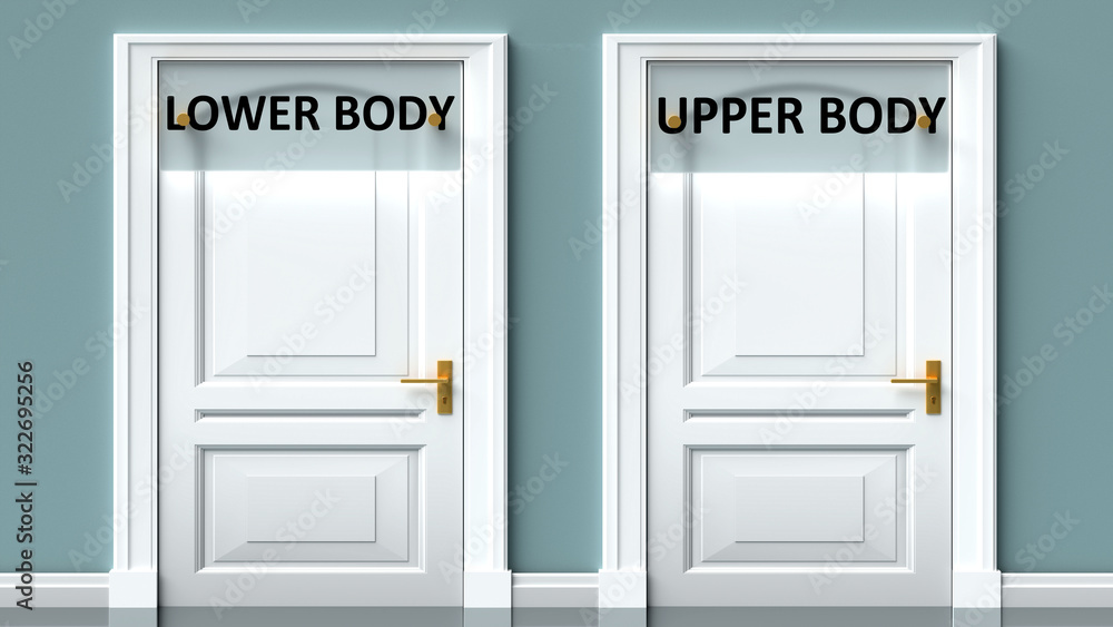 Lower body and upper body as a choice - pictured as words Lower body, upper body on doors to show that Lower body and upper body are opposite options while making decision, 3d illustration Lower body and upper body as a choice - pictured as words Lower body, upper body on doors to show that Lower body and upper body are opposite options while making decision, 3d illustration