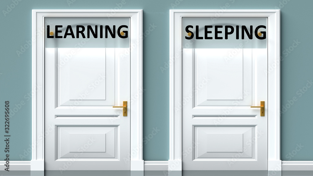 Learning and sleeping as a choice - pictured as words Learning, sleeping on doors to show that Learning and sleeping are opposite options while making decision, 3d illustration Learning and sleeping as a choice - pictured as words Learning, sleeping on doors to show that Learning and sleeping are opposite options while making decision, 3d illustration
