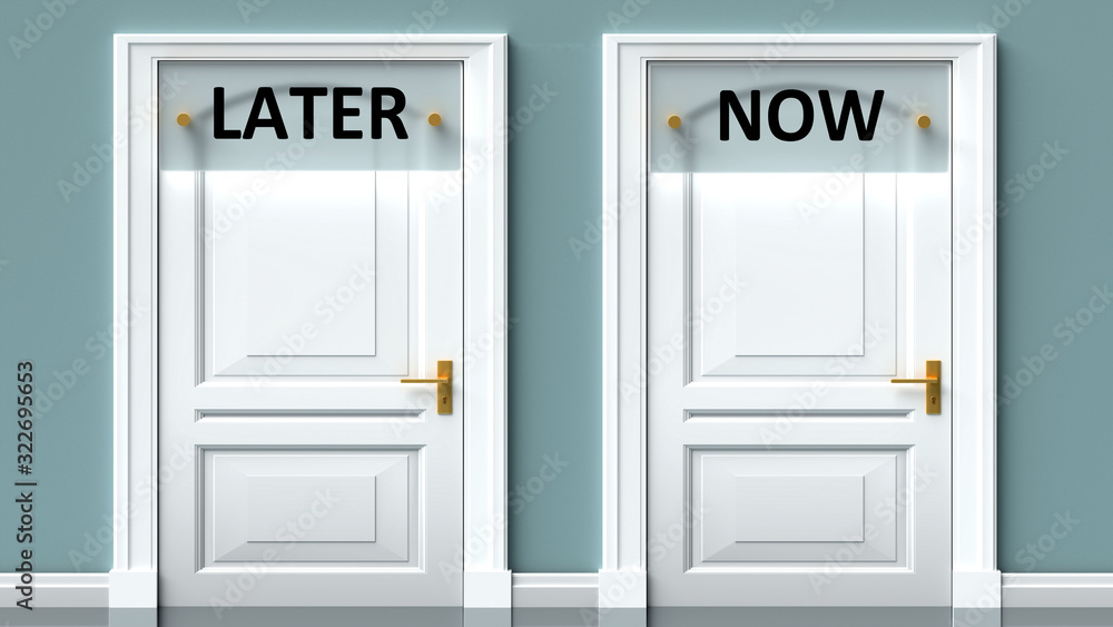 Later and now as a choice - pictured as words Later, now on doors to show that Later and now are opposite options while making decision, 3d illustration Later and now as a choice - pictured as words Later, now on doors to show that Later and now are opposite options while making decision, 3d illustration