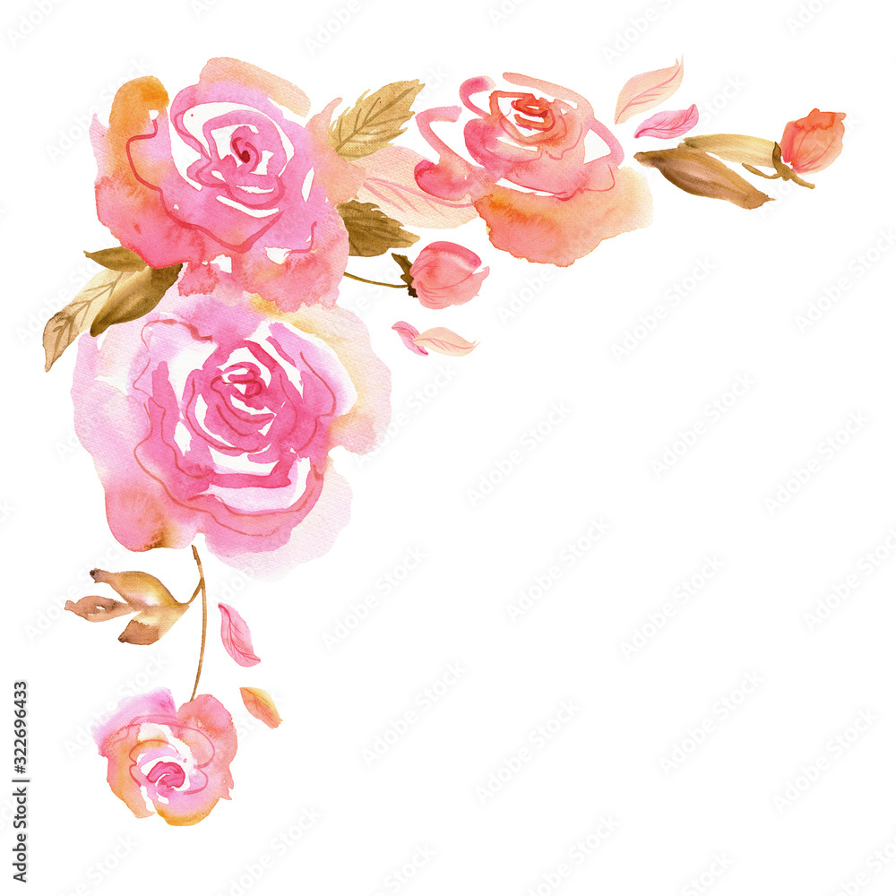 Watercolor hand painted pink roses on a white background. Background ...