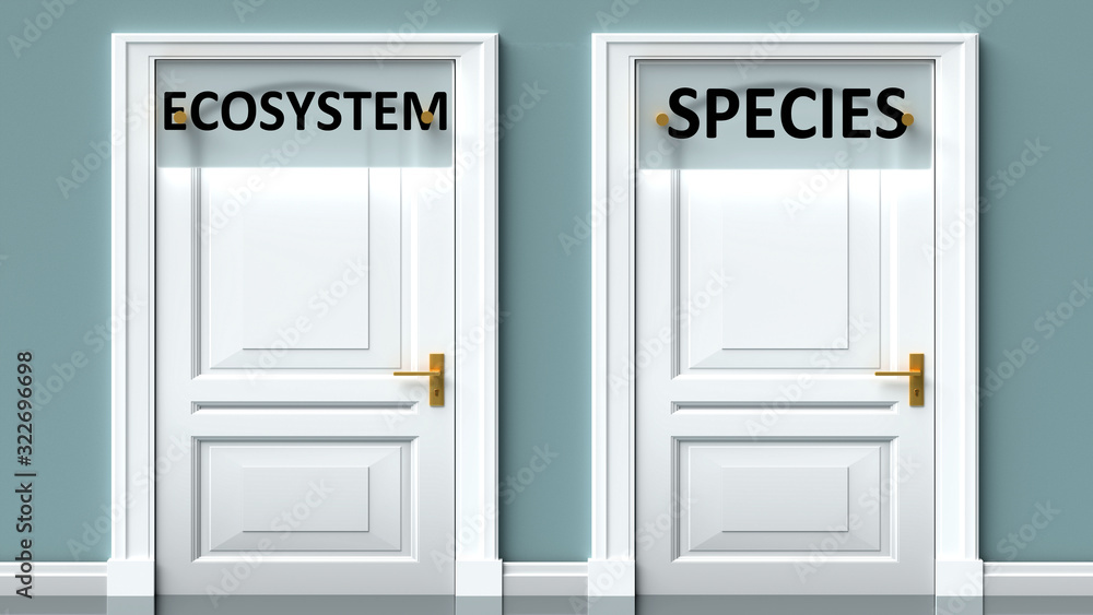 Ecosystem and species as a choice - pictured as words Ecosystem, species on doors to show that Ecosystem and species are opposite options while making decision, 3d illustration Ecosystem and species as a choice - pictured as words Ecosystem, species on doors to show that Ecosystem and species are opposite options while making decision, 3d illustration