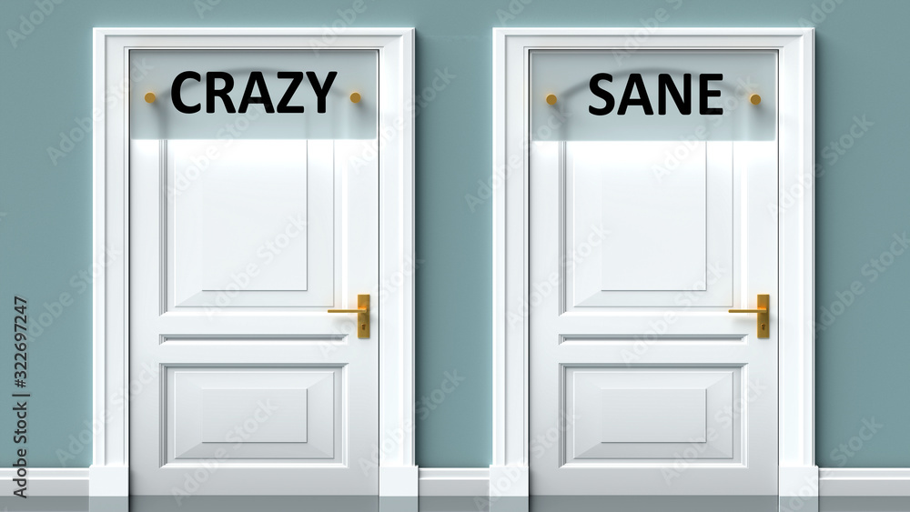Crazy and sane as a choice - pictured as words Crazy, sane on doors to show that Crazy and sane are opposite options while making decision, 3d illustration Crazy and sane as a choice - pictured as words Crazy, sane on doors to show that Crazy and sane are opposite options while making decision, 3d illustration