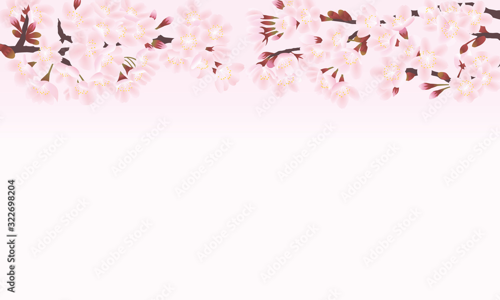 桜