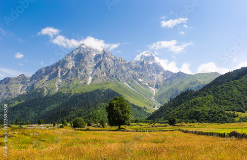 Beautiful landscape of the meadow on a background of snow-capped peaks of the Caucasus Mountains of Georgia