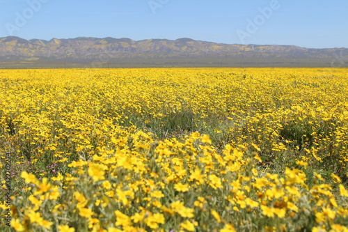 Carrizo Plain National Monument  CA 07574 