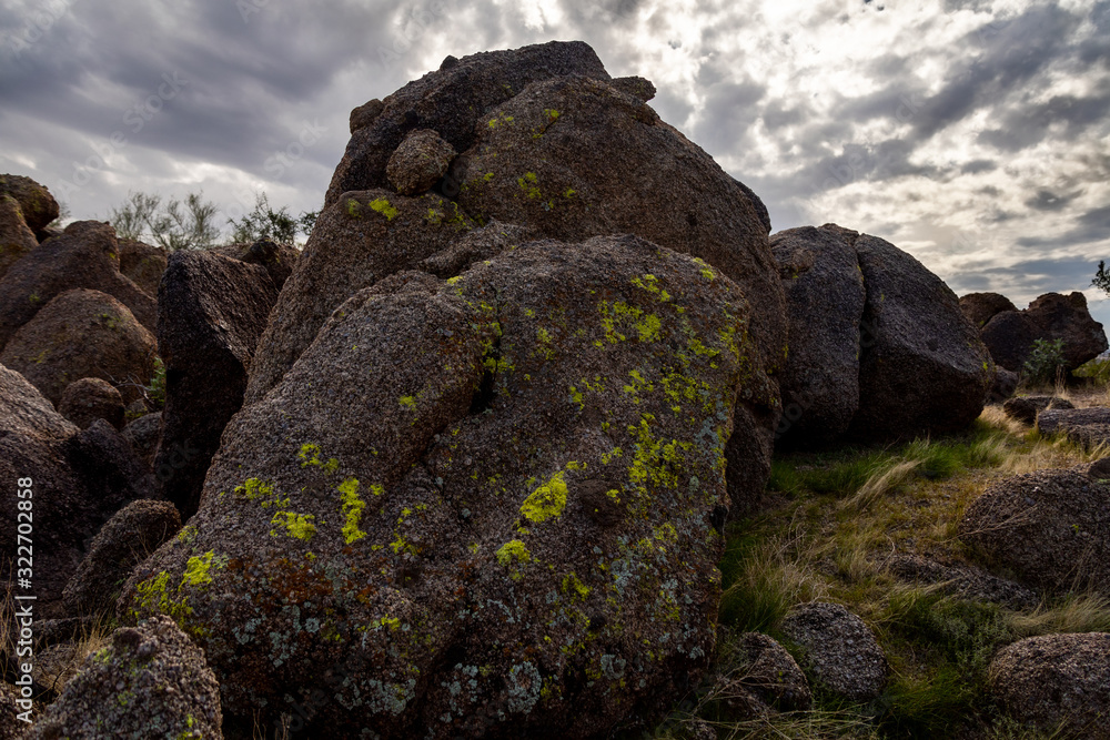 Large Red Granite Boulder with Multicolor Moss