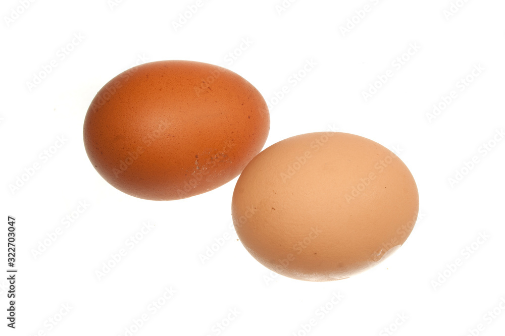 chicken egg isolated on white background chicken egg isolated on white background