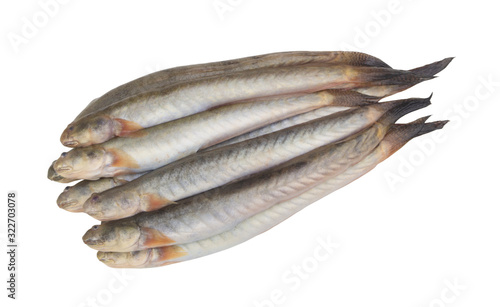 Fresh keo fish or spiny goby isolated on white background, Pseudapocryptes elongatus photo
