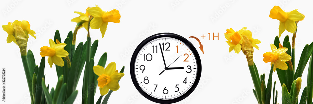 Abstract composition of yellow daffodils. Abstract composition of yellow daffodils.