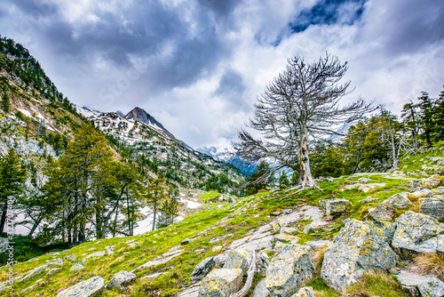 Beautifull nature in National Park Possets y Maladeta, Pyrenees, Spain. ,located above Benasque valley, near the town of Benasque in Huesca province, in the north of Aragon photo