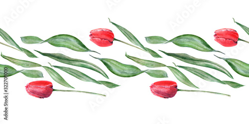 Watercolor seamless border with elegant red tulips. Buds  flowers and leaves