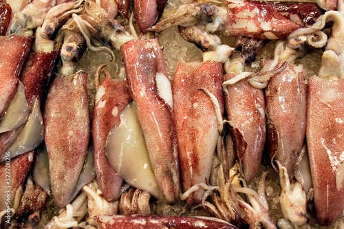 Stall with squids at fish market