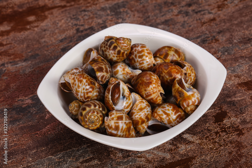 Tasty mollusk - spotted Babylon in the bowl Tasty mollusk - spotted Babylon in the bowl