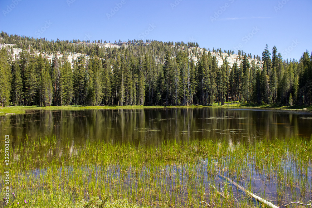 pond in the mountains of Yosemite National Park, California pond in the mountains of Yosemite National Park, California