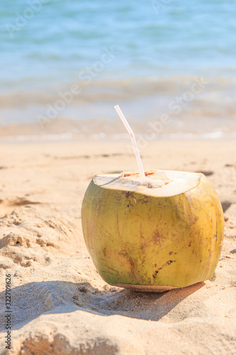 the fruit of the coconut with a straw on a background sky
