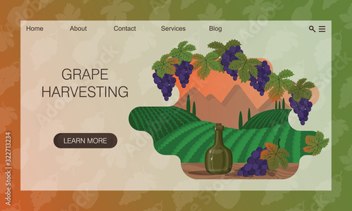 template Mountain landscape with vineyards, wine bottle and bunch of grapes. Framing of grape leaves and berries. Wooden surface of table. Flat vector cartoon. Concept of website, landing page design 