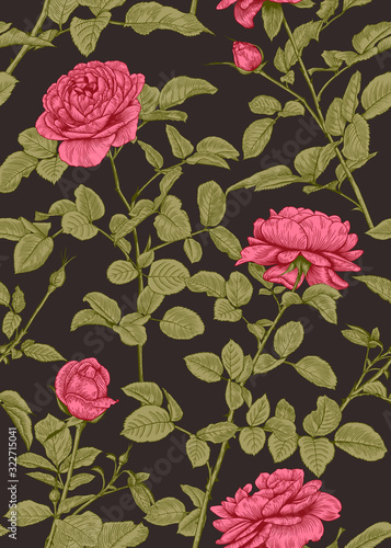 Fototapeta Naklejka Na Ścianę i Meble -  Vintage vertical seamless print with pink roses. Floral vector illustration.  Dark background.