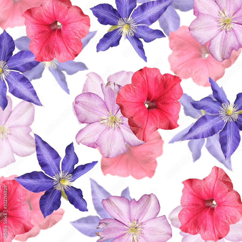 Beautiful floral background of petunia and clematis. Isolated