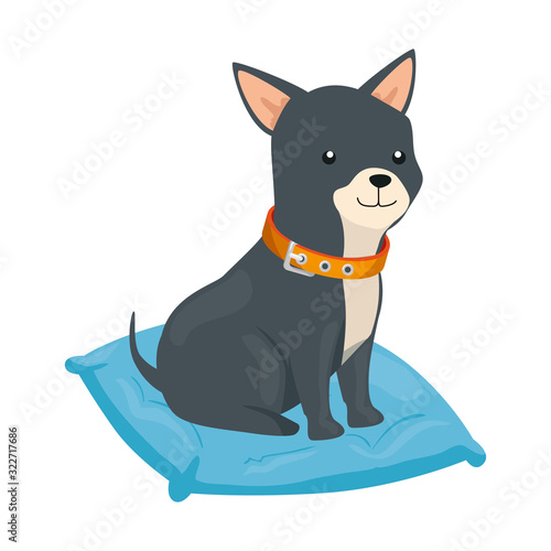 cute dog in cushion isolated icon vector illustration design
